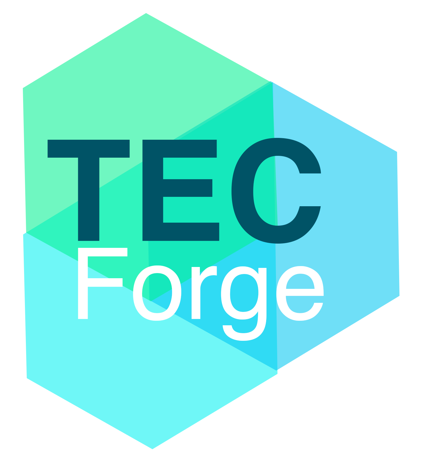 Tec forge